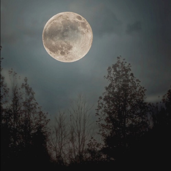 lunagrissss